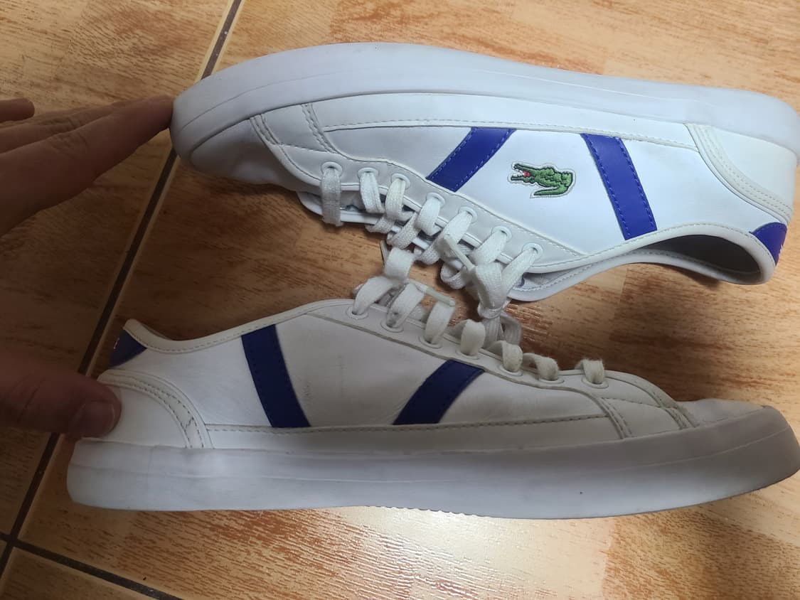 라코스테 사이드라인 270(265추천) 상품이미지5