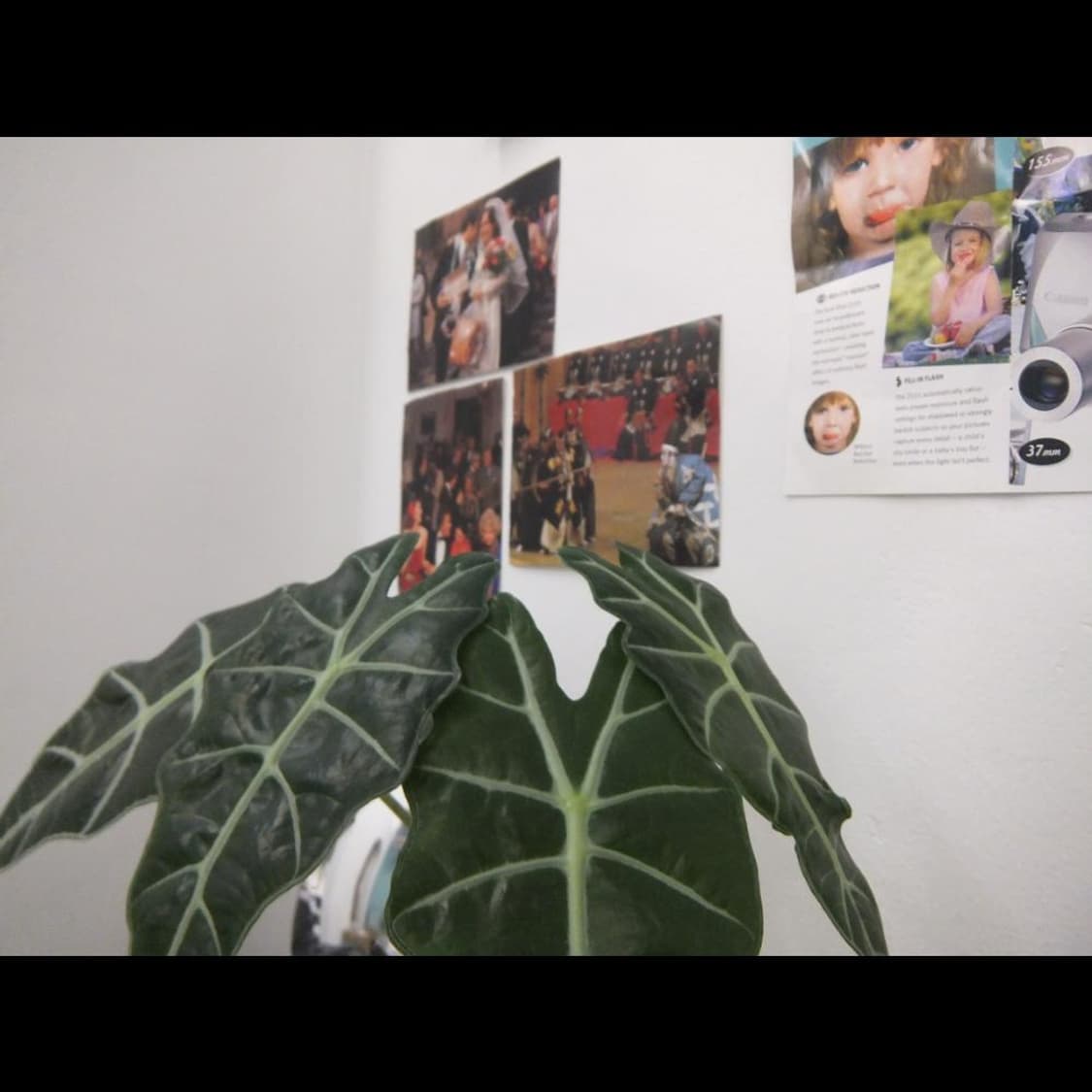 후지필름 파인픽스 Z900EXR 펄 화이트🤍 빈티지 디카 디지털카메라 상품이미지4