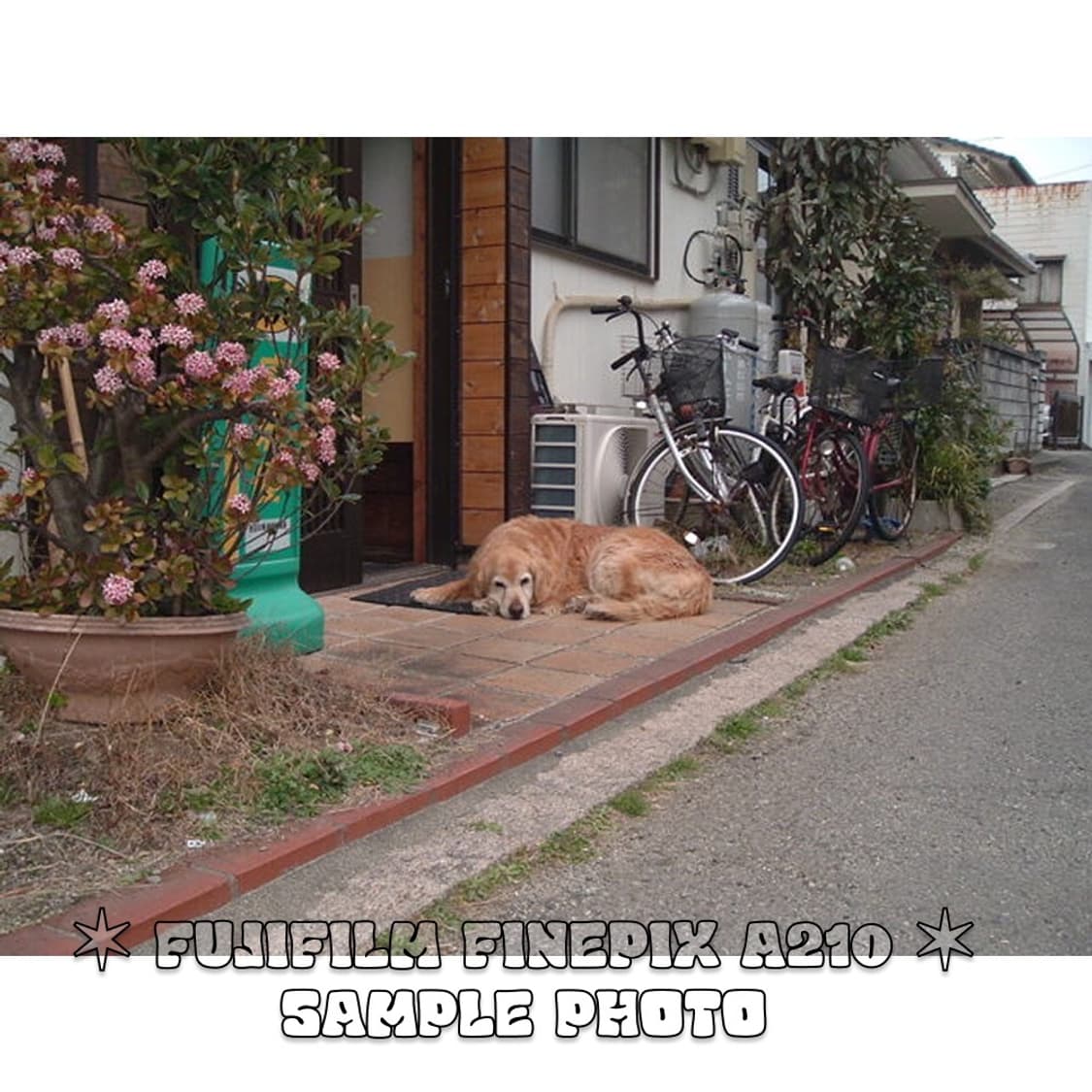 후지필름 파인픽스 A210 빈티지 컴팩트 디카 실버 상품이미지9