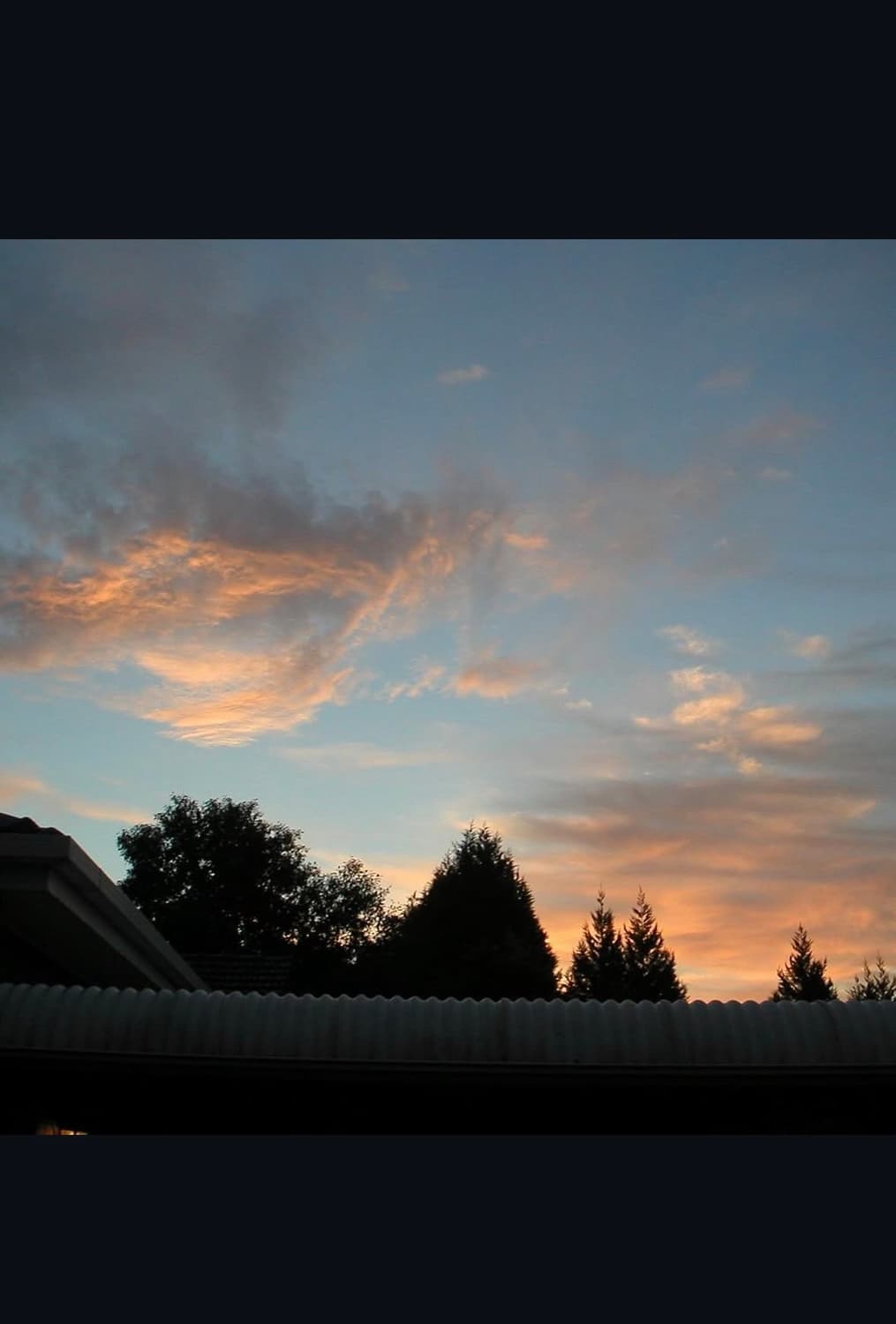 미놀타 디마지 x 디지털카메라 상품이미지9