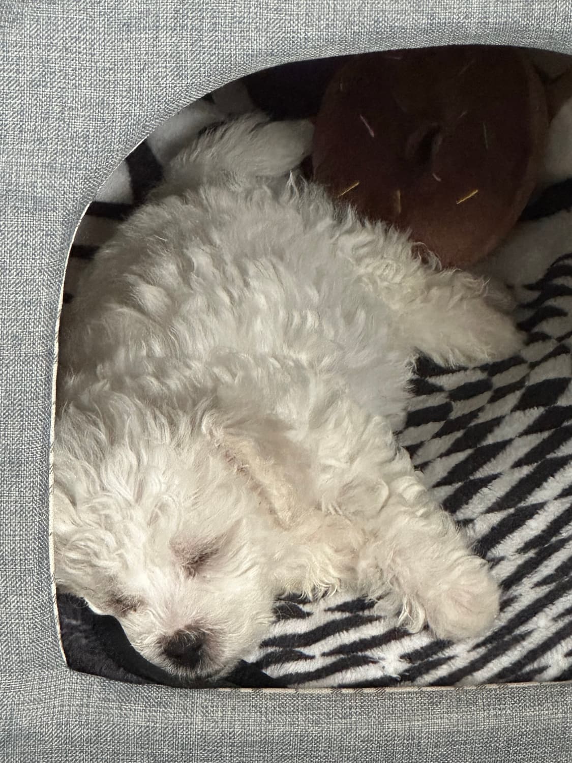 준현이카겨여여여여여열 상품이미지1