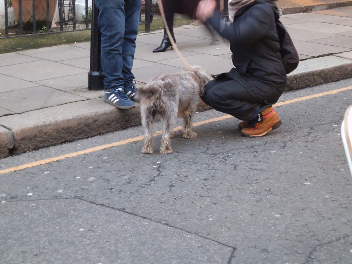 Fujifilm FinePix JZ110 상품이미지6