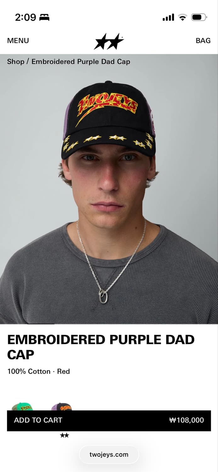 Twojeys Embroidered Purple Dad Cap 상품이미지6