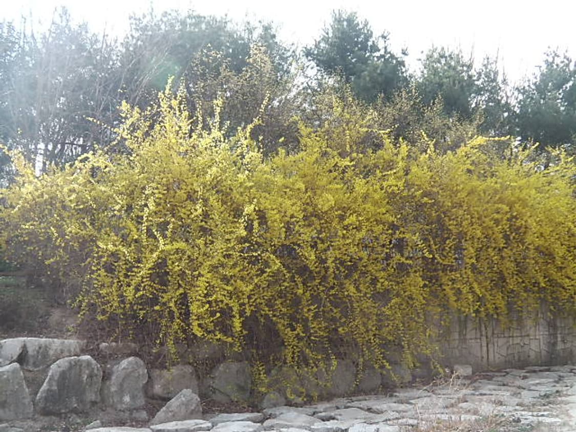 뉴진스 버블검 캠코더) 파나소닉 HX-WA10 빈티지 캠코더 상품이미지10