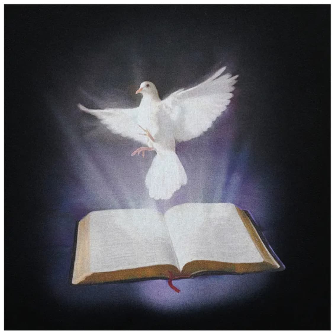 스컬프터 Holy Spirit Boxy Tee (small) 상품이미지4