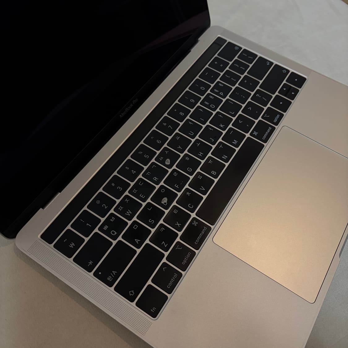 맥북 프로 2019 13인치 실버 512기가 상품이미지7