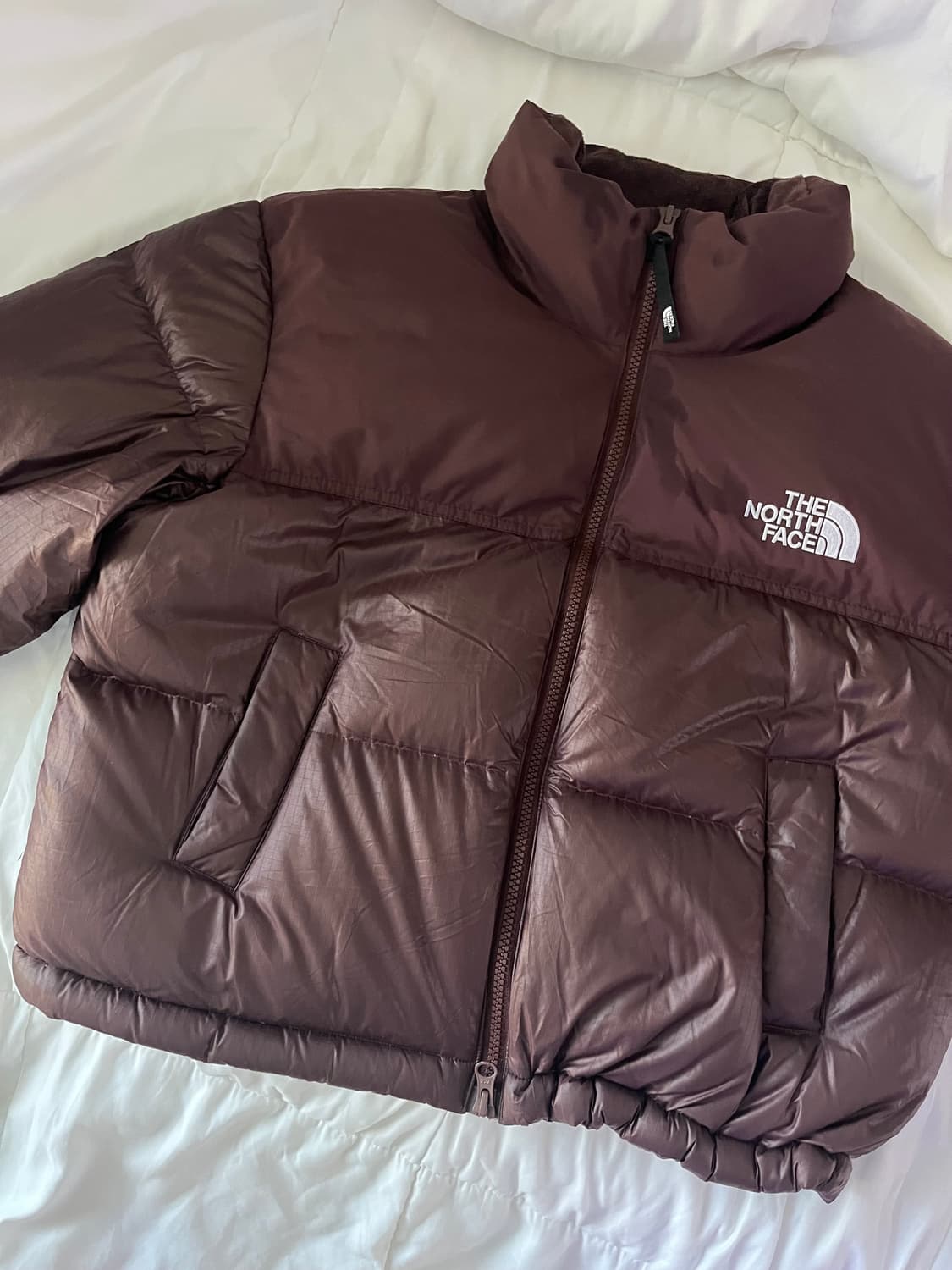 노스페이스 라벨 노벨티 눕시 브라운패딩 상품이미지1