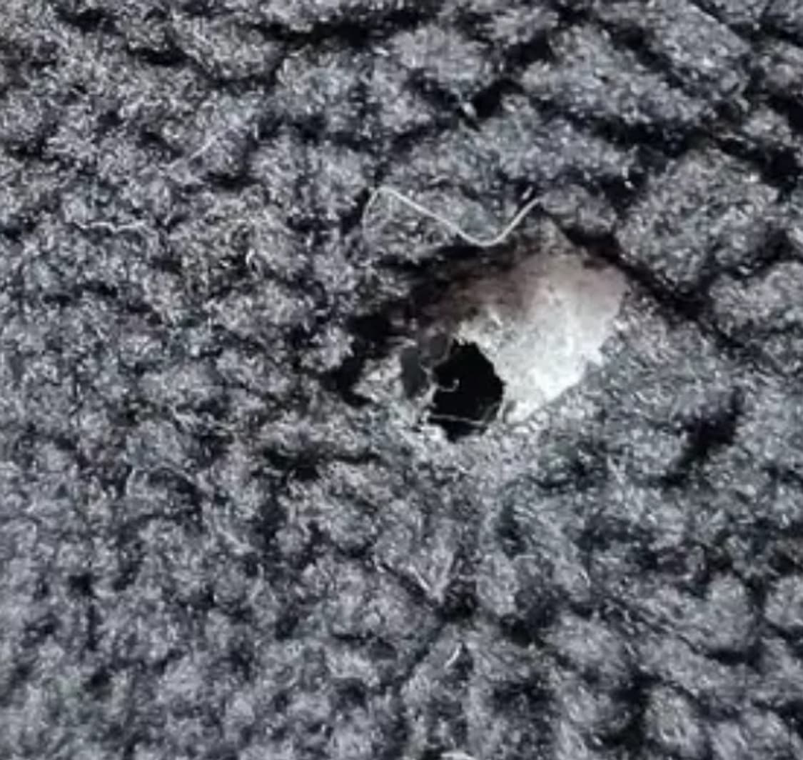 르꼬끄 보아 믹스 ma-1 판매합니다 상품이미지9