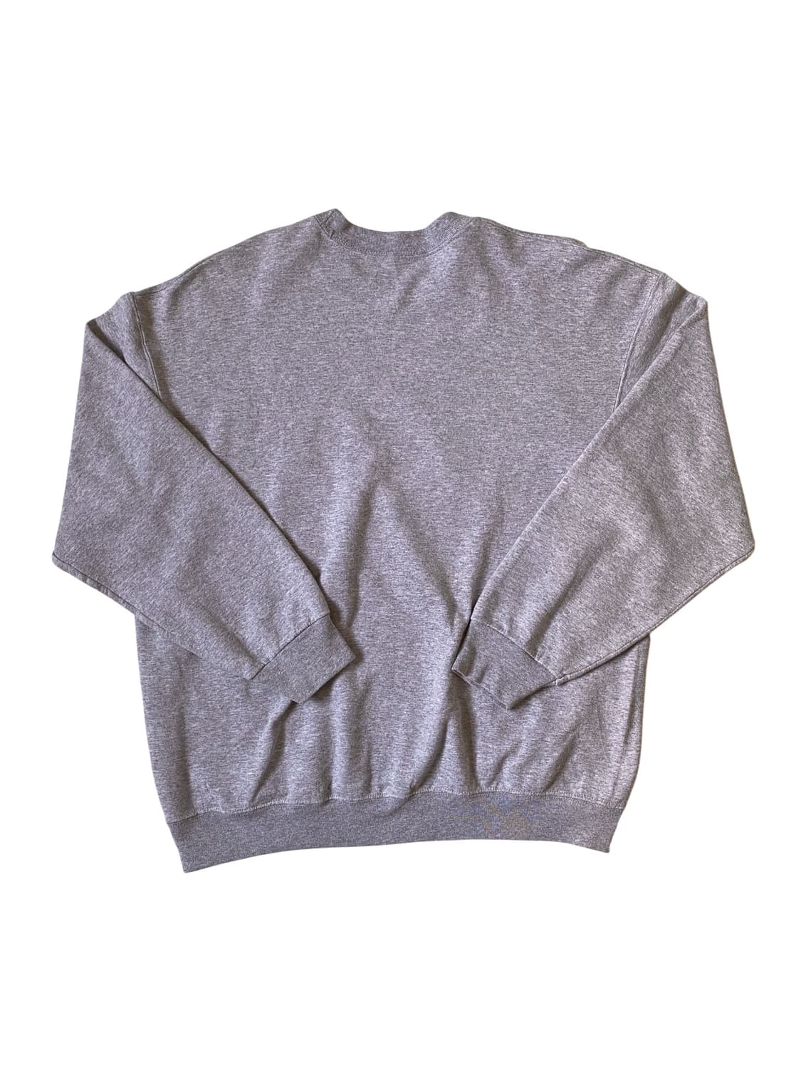 프루트 오브 더 룸 스웻셔츠 (Man XL) AB1343 상품이미지6