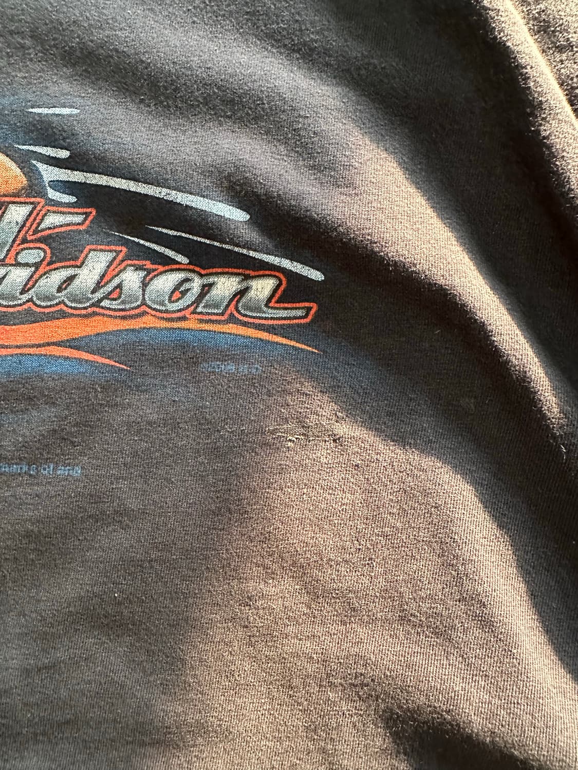 할리데이비슨 x 루니툰즈 '와일드 코요테' 파이어 롱슬리브 - 4XL 상품이미지5