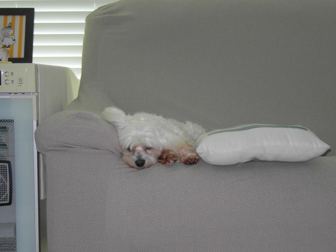 삼성 nv100hd 빈티지디카 상품이미지7