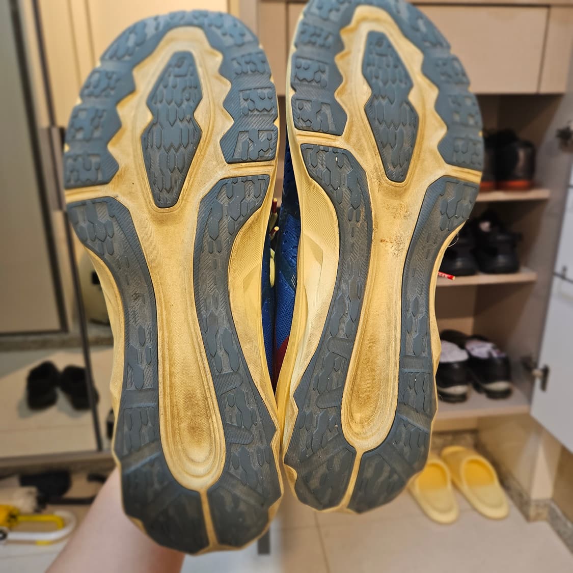 295 아식스 x 아픽스 노바블라스트 블루 코스트 상품이미지3