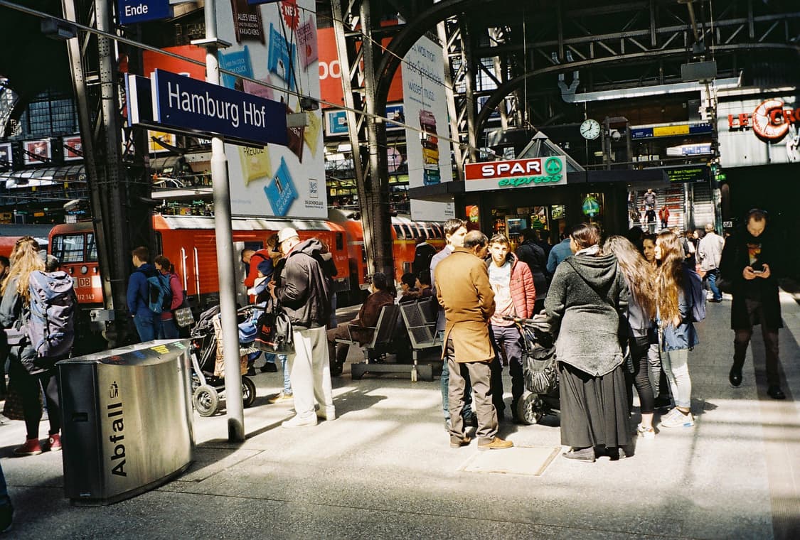 롤라이 프레고 145 AF 데이타백 2049년까지 가능 버전 상품이미지10