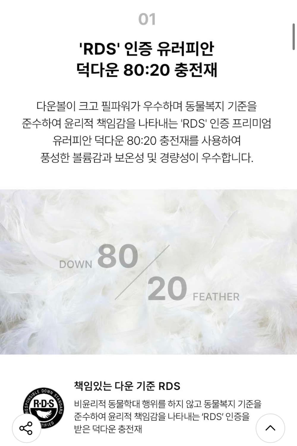 디스커버리 패딩 반슬리 고프코어 다운 (IVORY) 상품이미지10