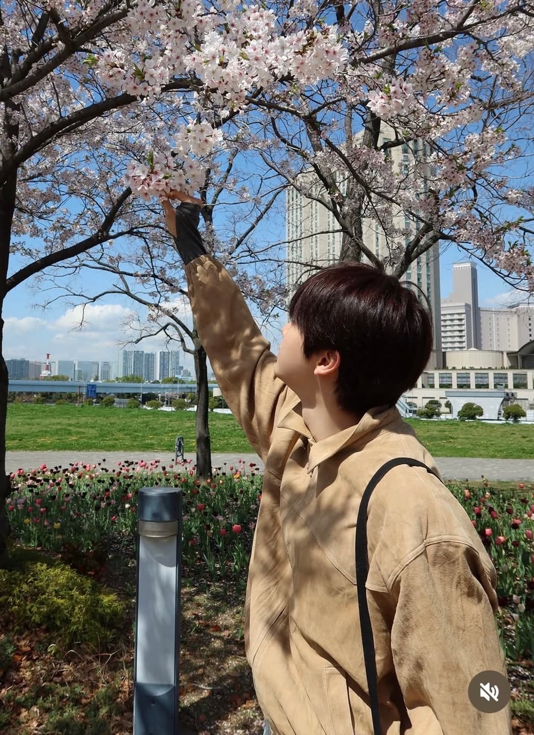 렉토 26SS 스웨이드 헤링턴 점퍼 데저트 상품이미지3