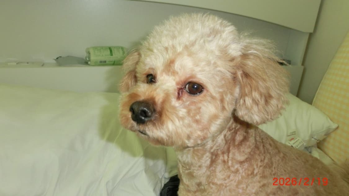 카시오 EXILIM EX-ZR300 상품이미지9