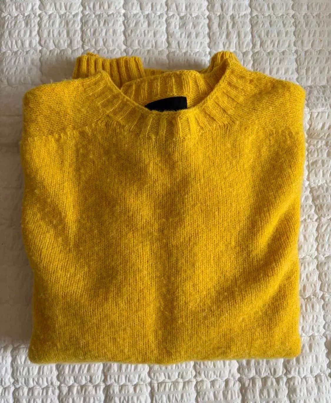 하울린 버스오브더쿨 더선 쉐기독 니트 L  상품이미지1