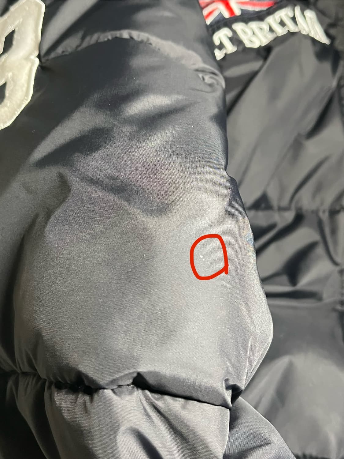 폴로 브리튼 패딩 상품이미지4