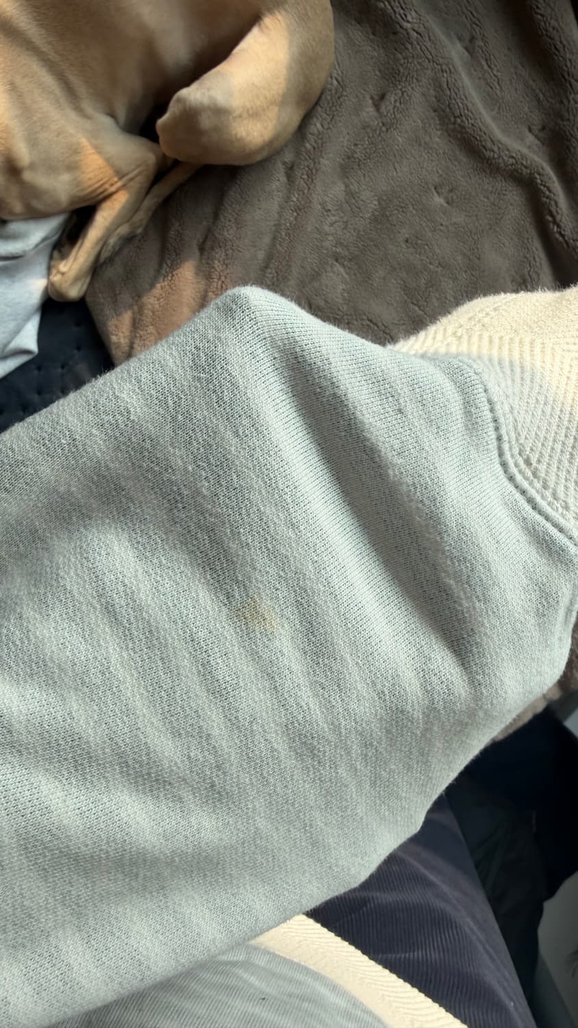 겐조 스트라이프 맨투맨 상품이미지3