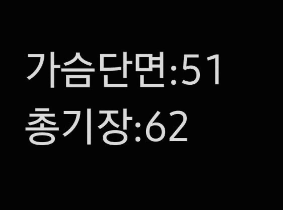 [정품/90] 노스페이스 써밋 여성 패딩 상품이미지6