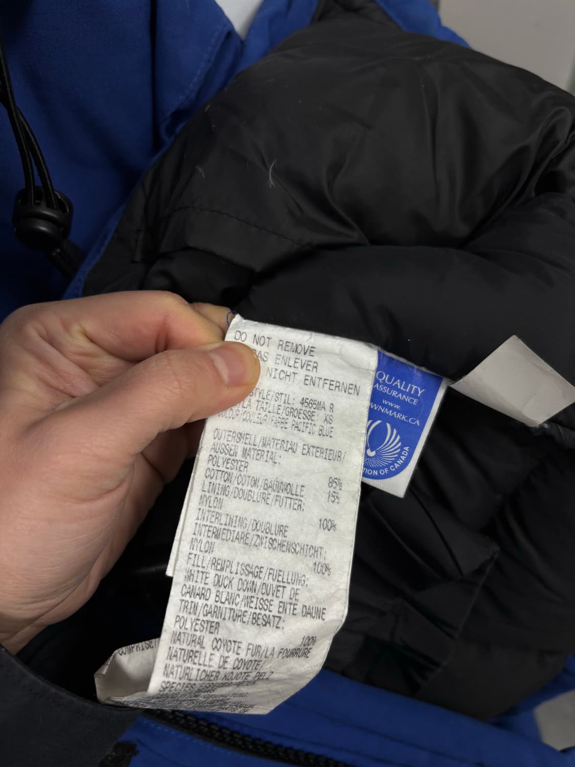 캐나다구스 익스페디션 파카 상품이미지8