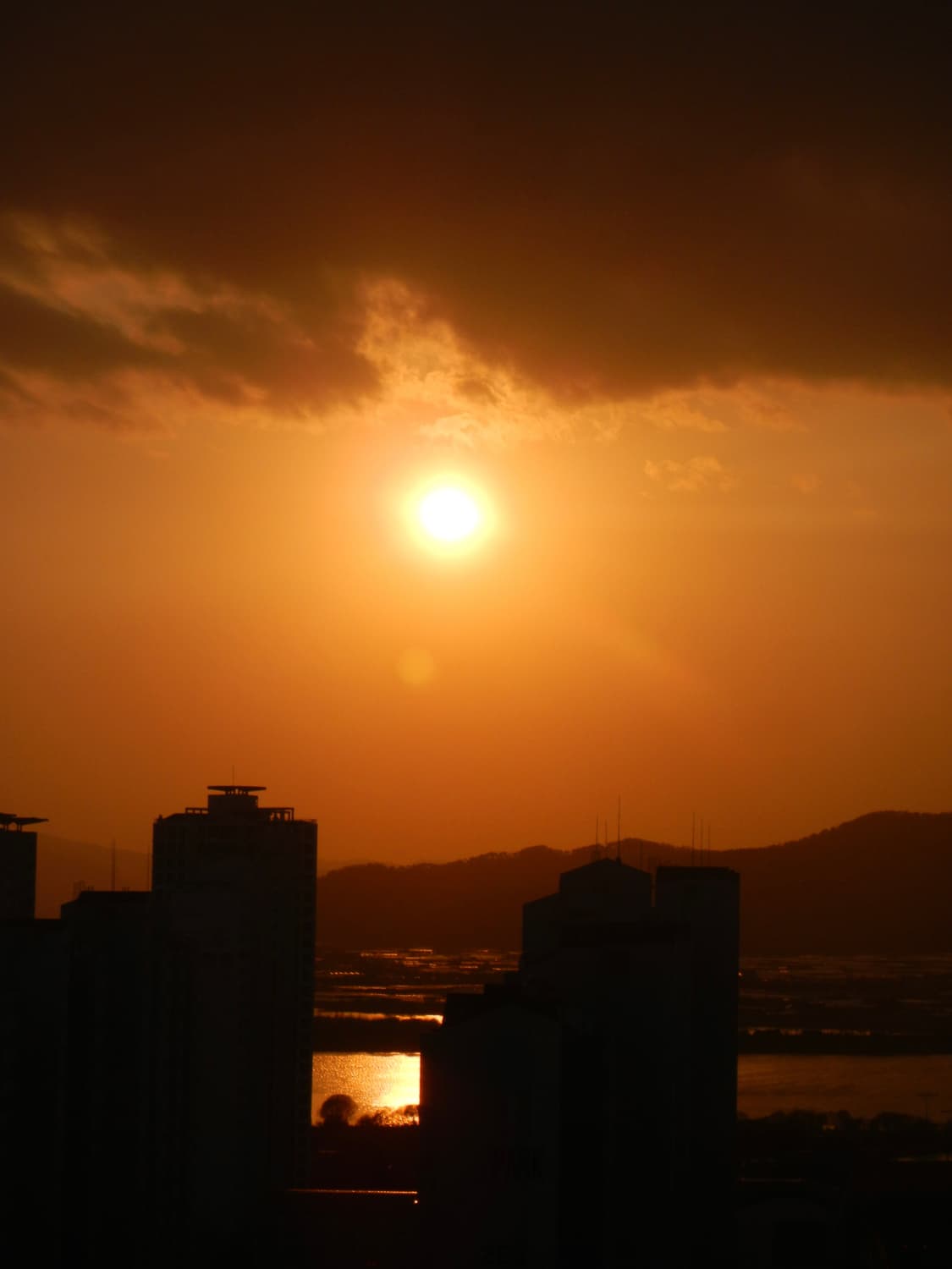 Nikon coolpix aw100 카모 상품이미지7