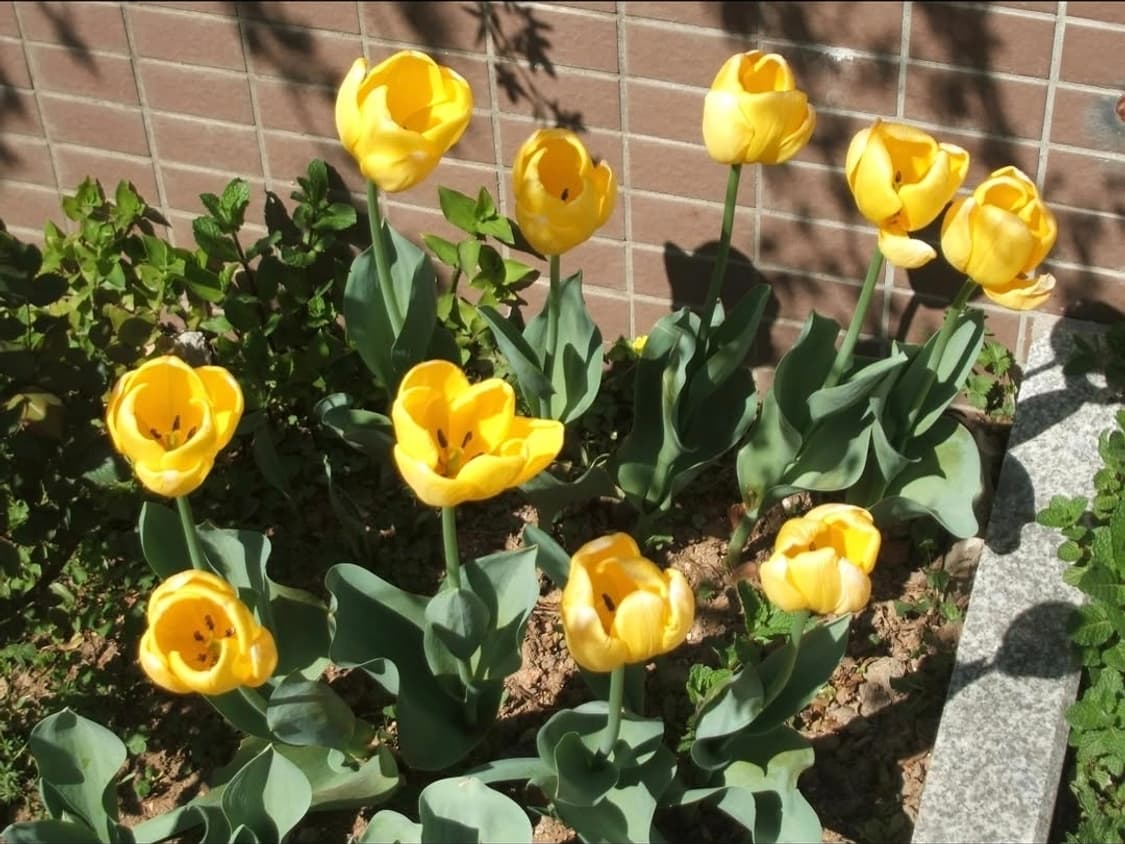 후지필름 파인픽스 Z800EXR ✨ 터치 LCD  감성디카 박스셋 💕 상품이미지9