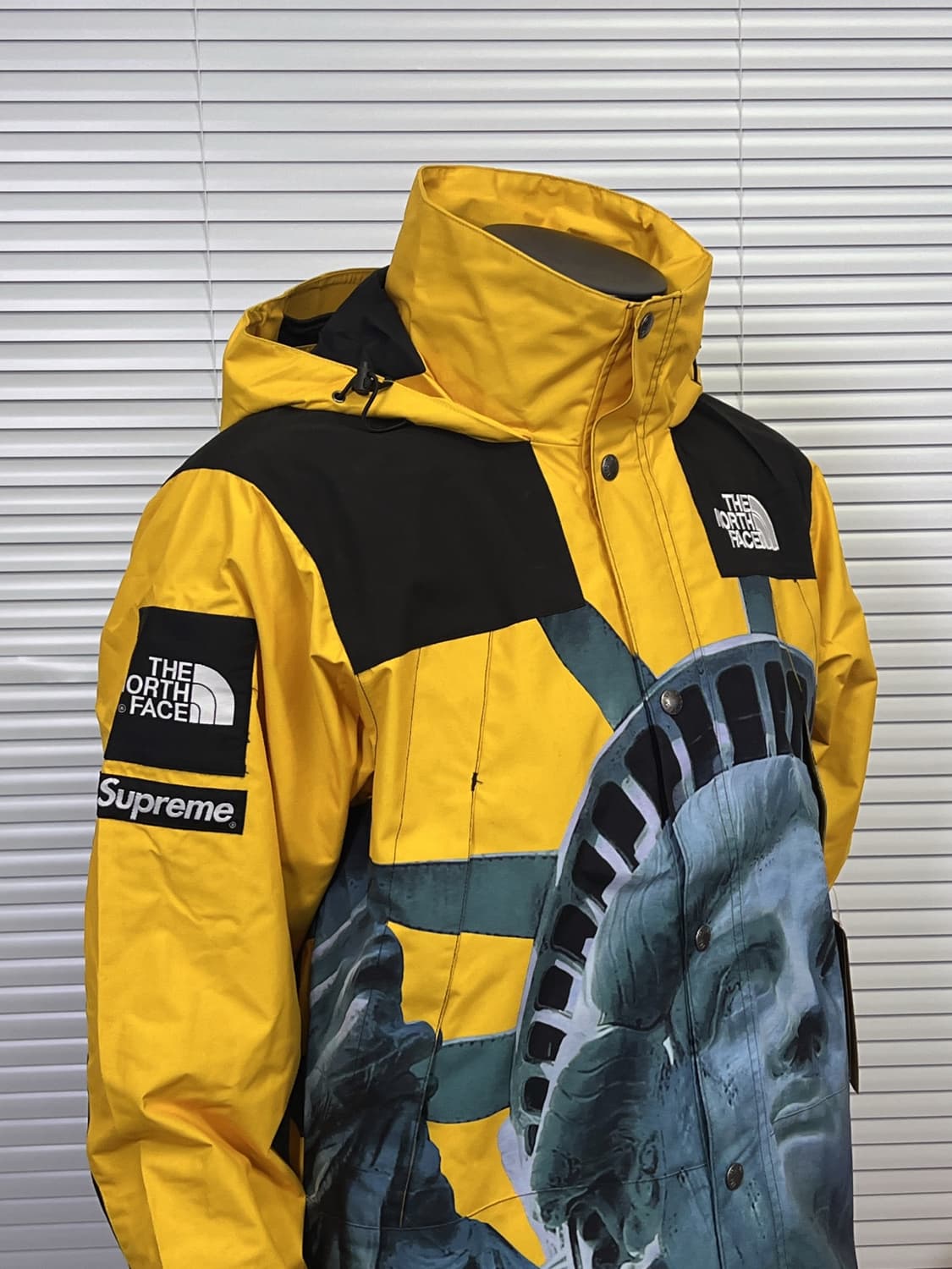 슈프림 x 노스페이스 자유의 여신상 발토로 자켓 옐로우 상품이미지3