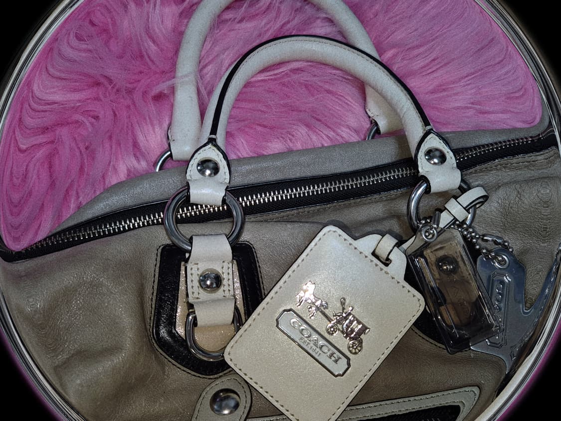 COACH 2000s Sabrina zipper Satchel 상품이미지2