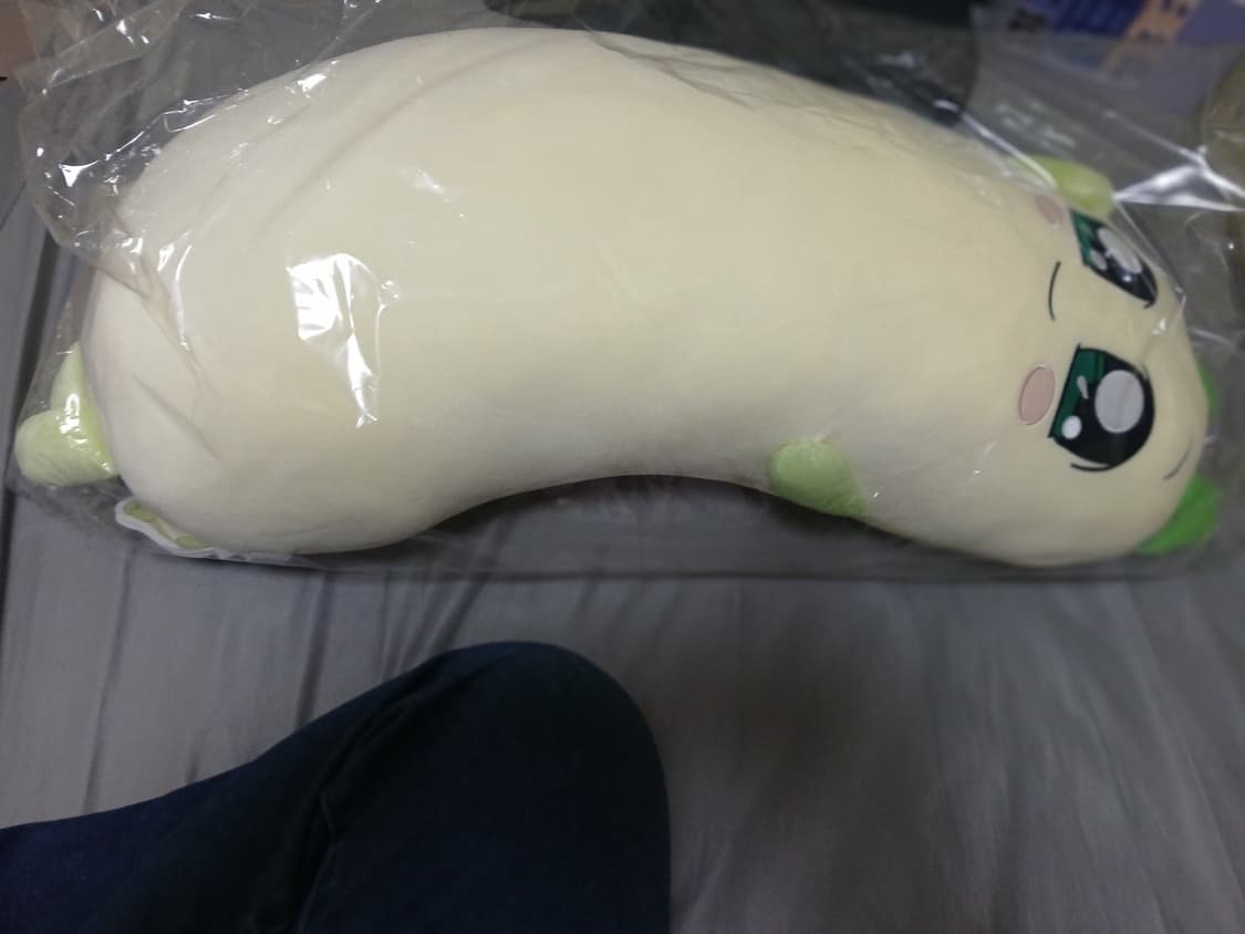 꼭 안아줘요 양파쿵야 바디필로우 상품이미지1