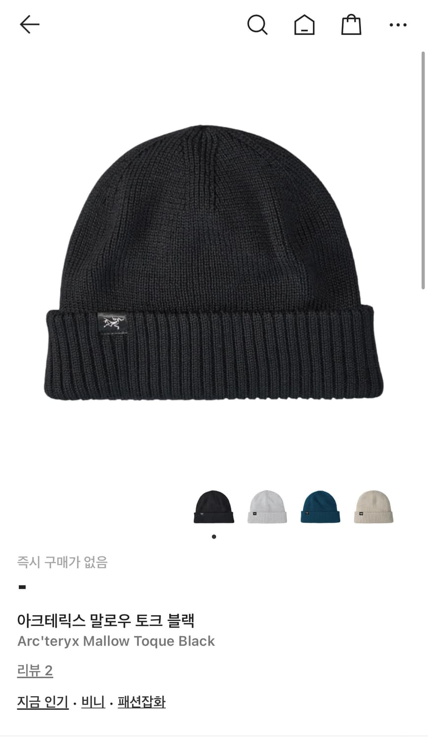 아크테릭스 말로우 비니 상품이미지1