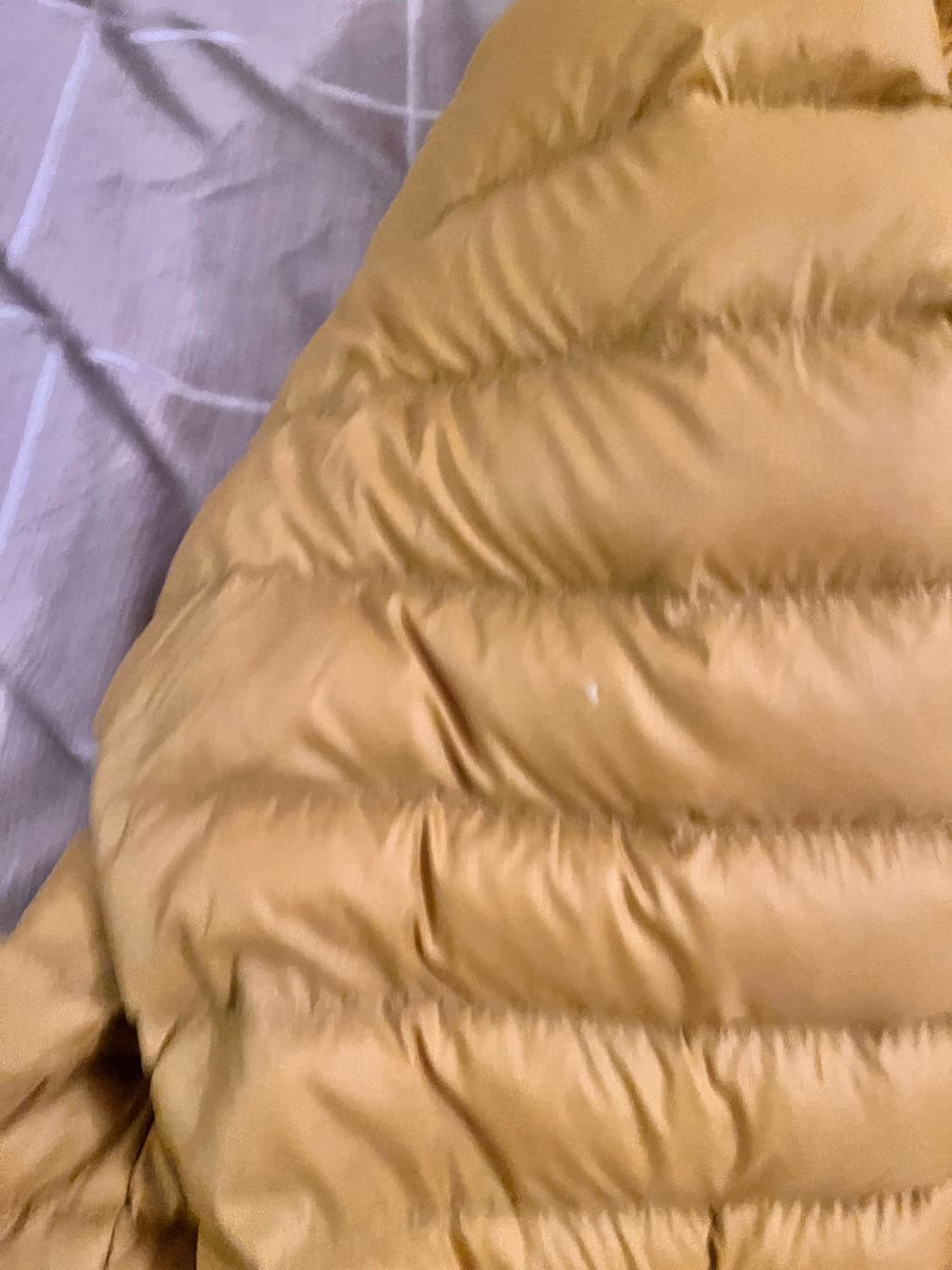 파타고니아 패딩 상품이미지4