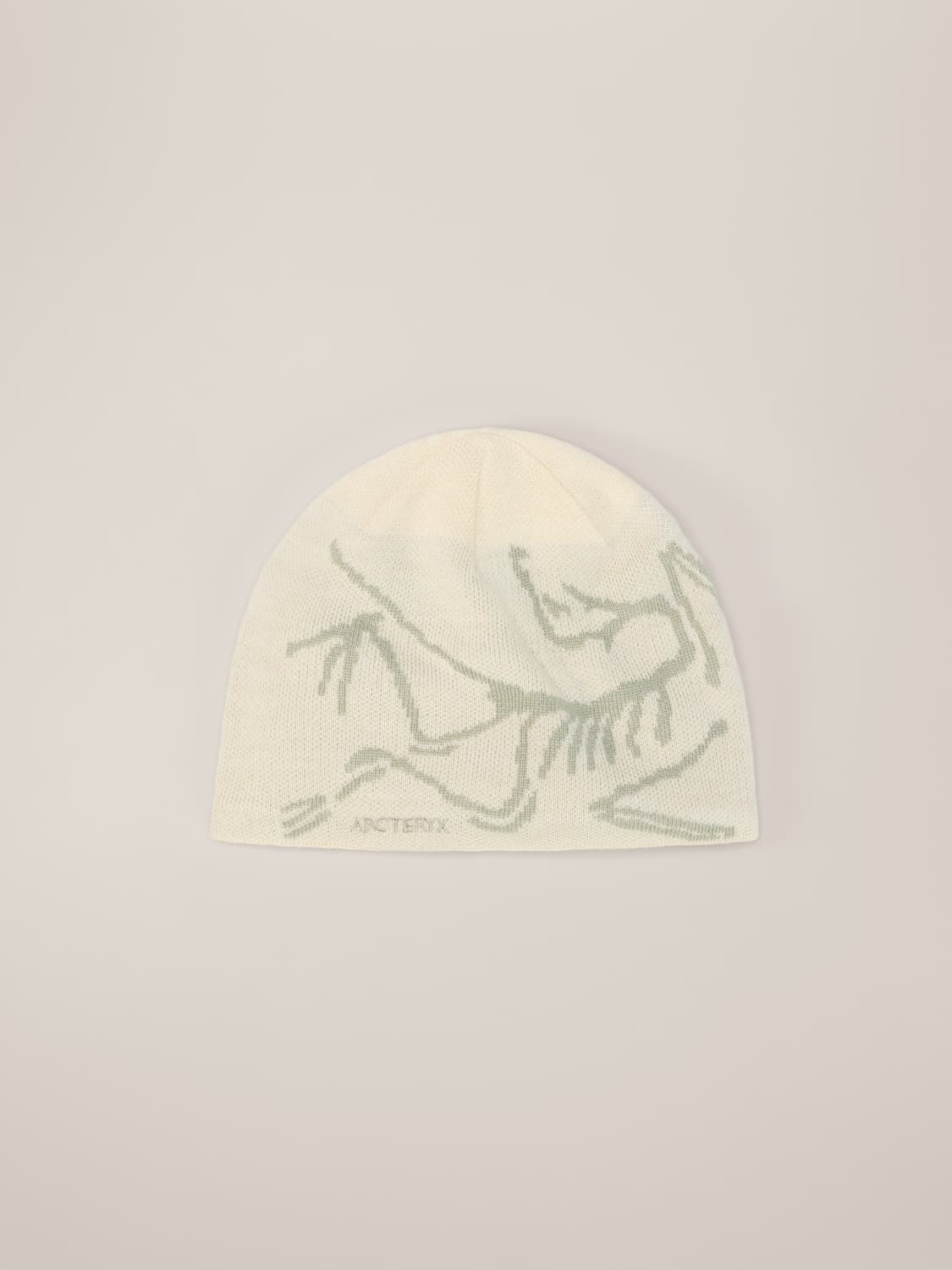 아크테릭스 26ss 버드 헤드 비니/씨 솔트 상품이미지2