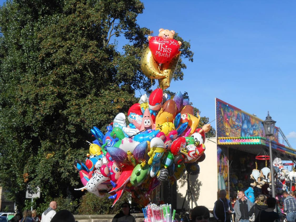 Panasonic DMC-TZ22 (파나소닉 DMC-TZ22) 상품이미지10