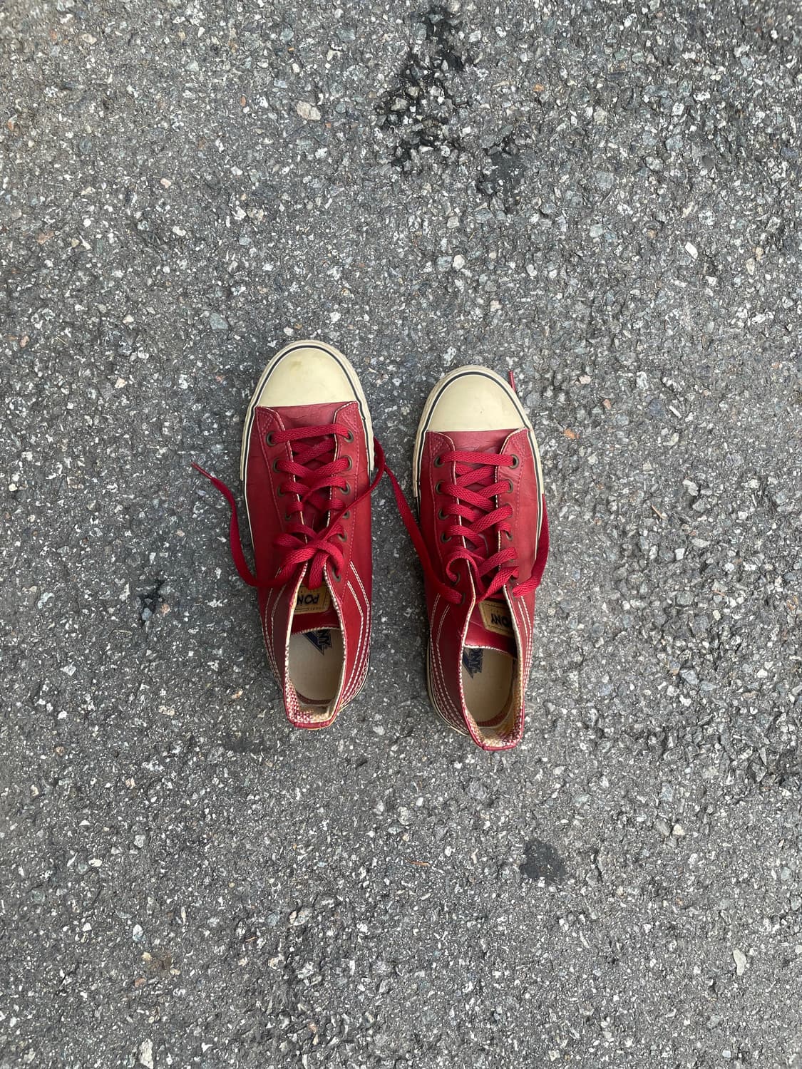 pony converse chucktailor 상품이미지4
