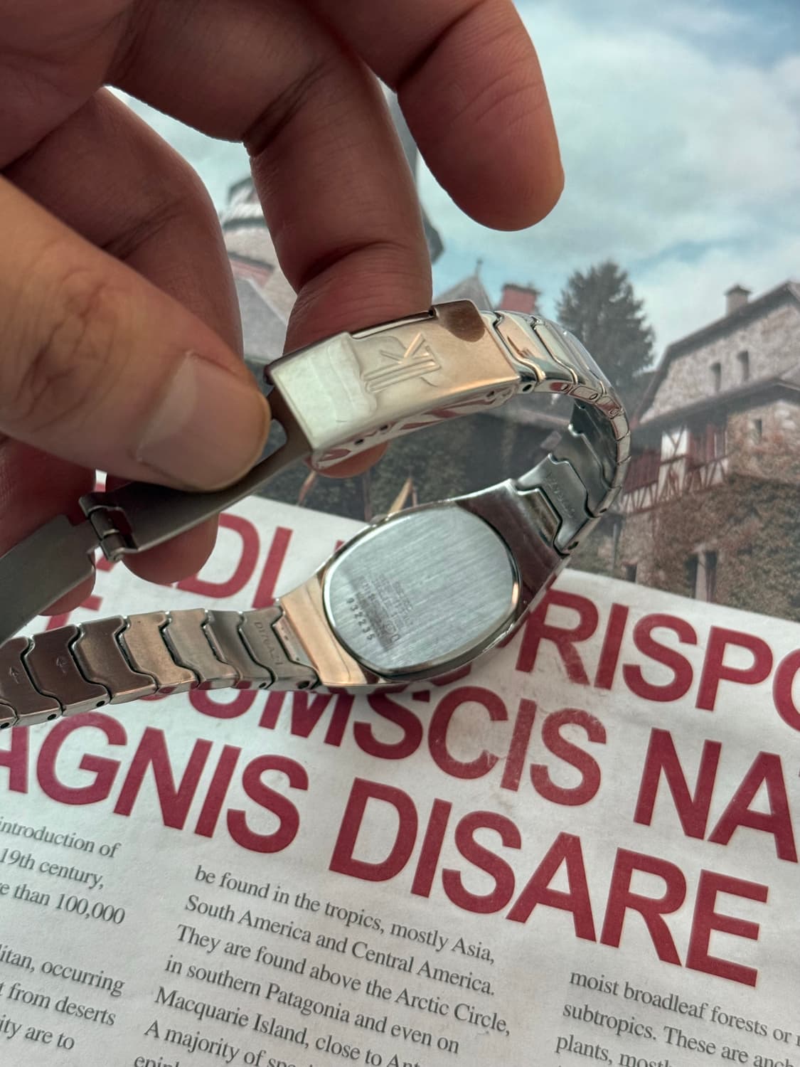 세이코 Seiko 쉘 실버 사파이어 상품이미지3