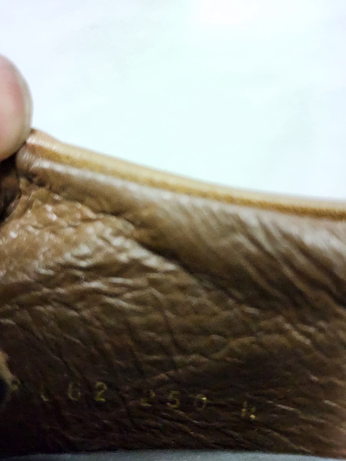 엘칸토 브라운 가죽 남성 정장 구두 상품이미지6