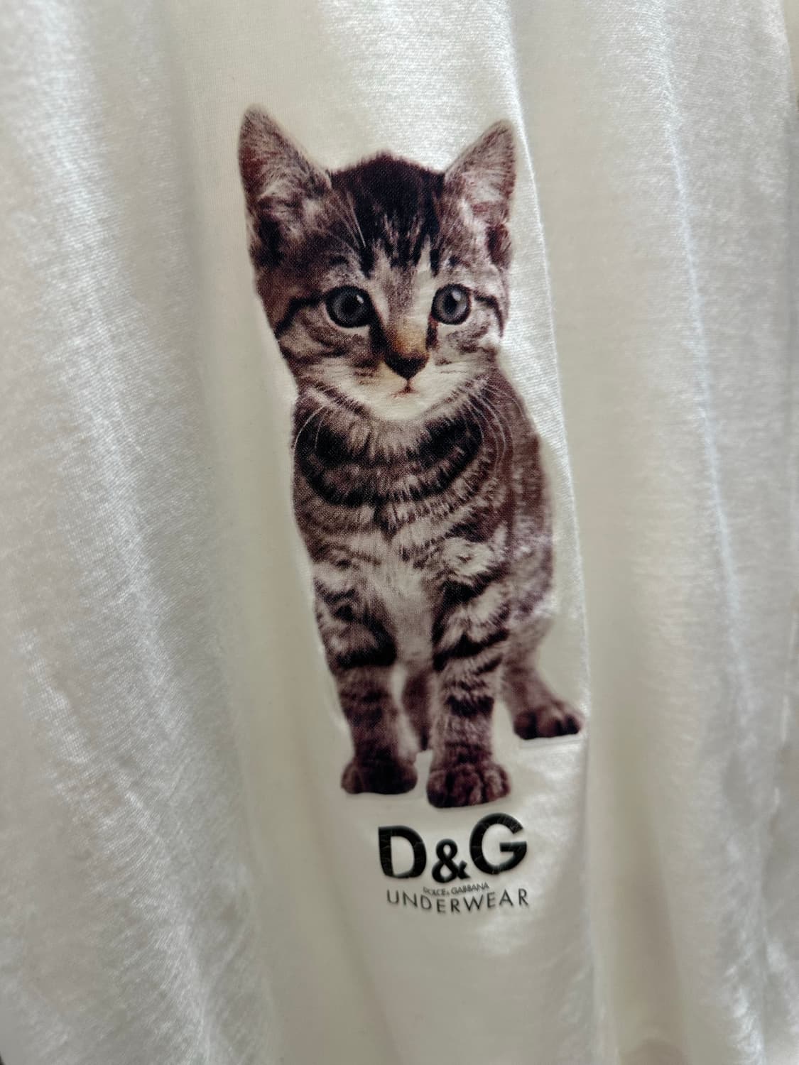 Dolce & Gabbana archive 돌체앤가바나 고양이 상품이미지2