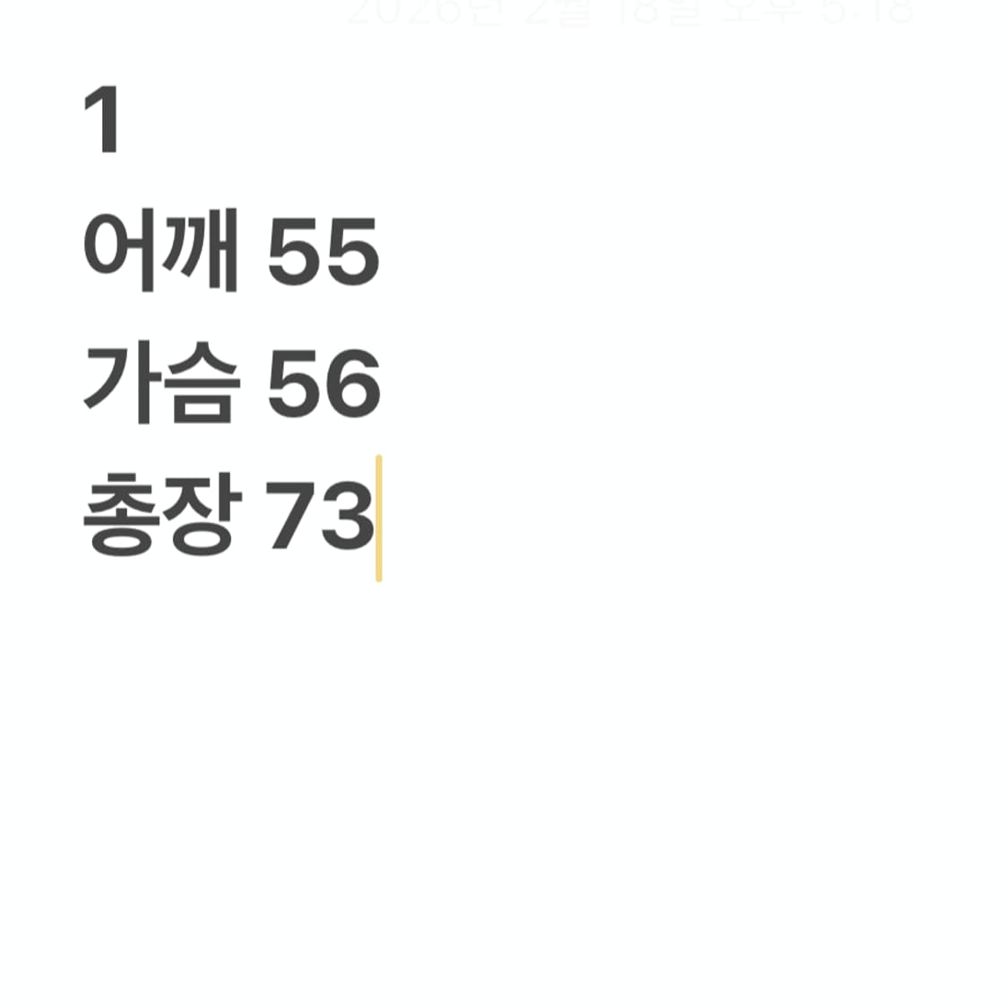 아디다스 독일군 져지 상품이미지6