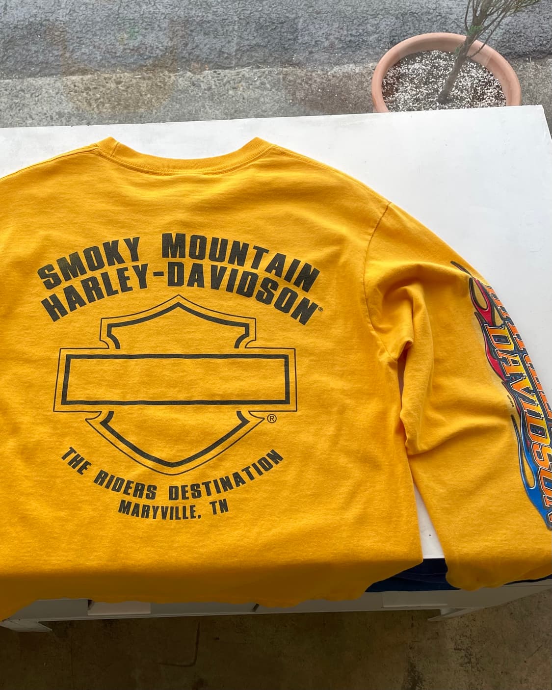 Harley Davidson L/S t-shirt 할리데이비슨 롱슬리브 상품이미지9