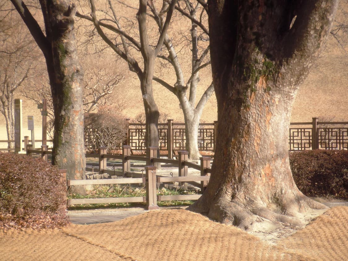 후지필름 파인픽스 z300 상품이미지8