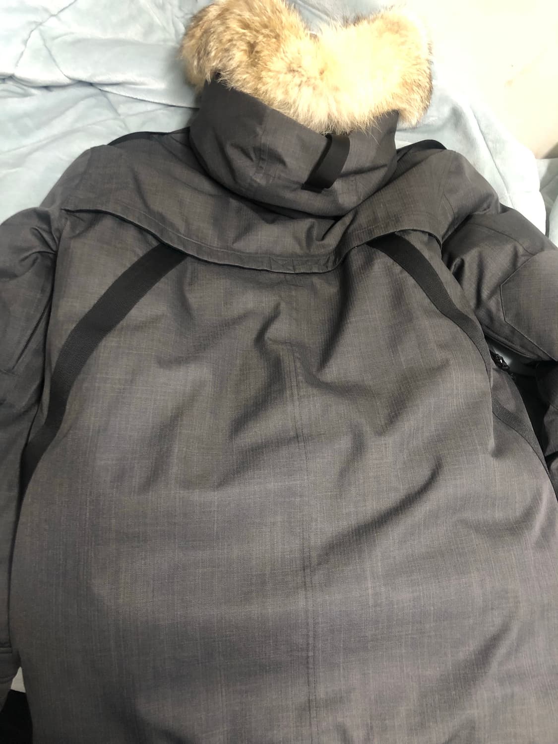 노비스 패딩 상품이미지4