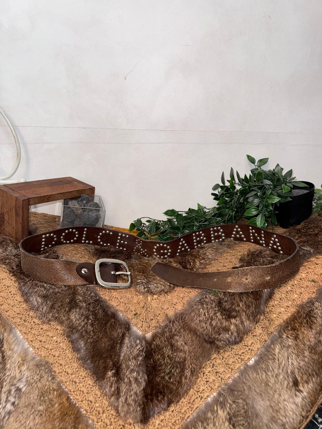 Dolce & Gabbana brown stud logo belt 상품이미지1