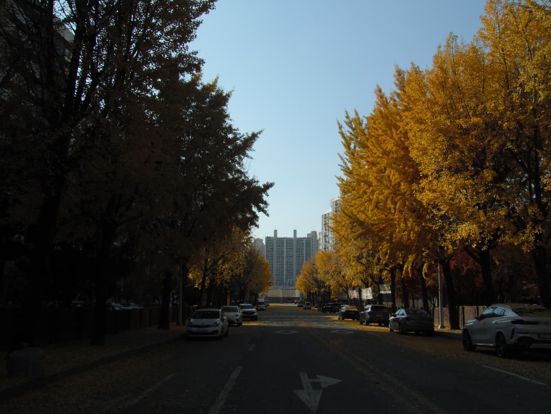 (희귀 브라운, 작례o) Fujifilm 후지필름 파인픽스 Z80 상품이미지7