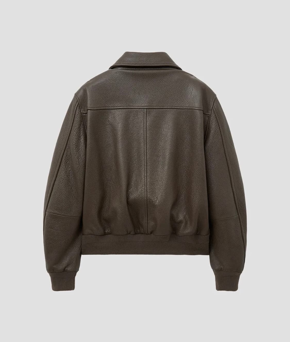 노이어 레더 블루종 브라운 (고트 슈렁큰 레더 블루종) 상품이미지2