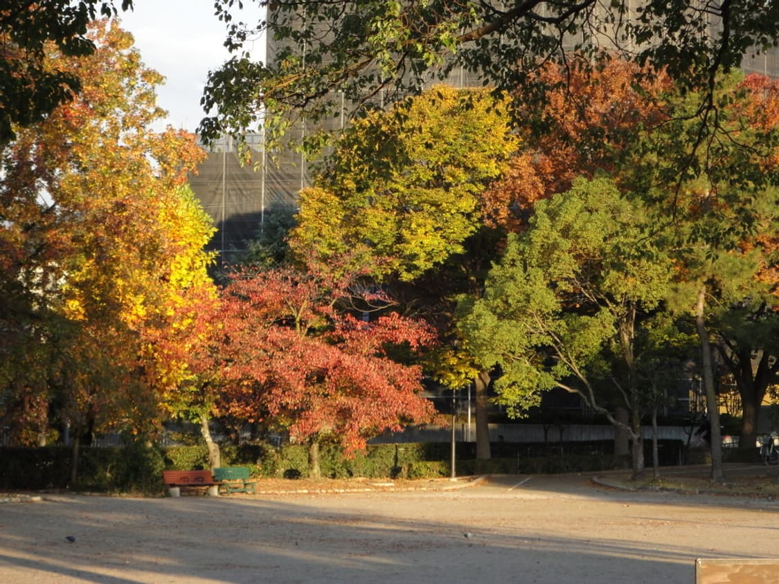 소니 사이버샷 Sony Cyber-shot DSC-W350 골드 상품이미지3