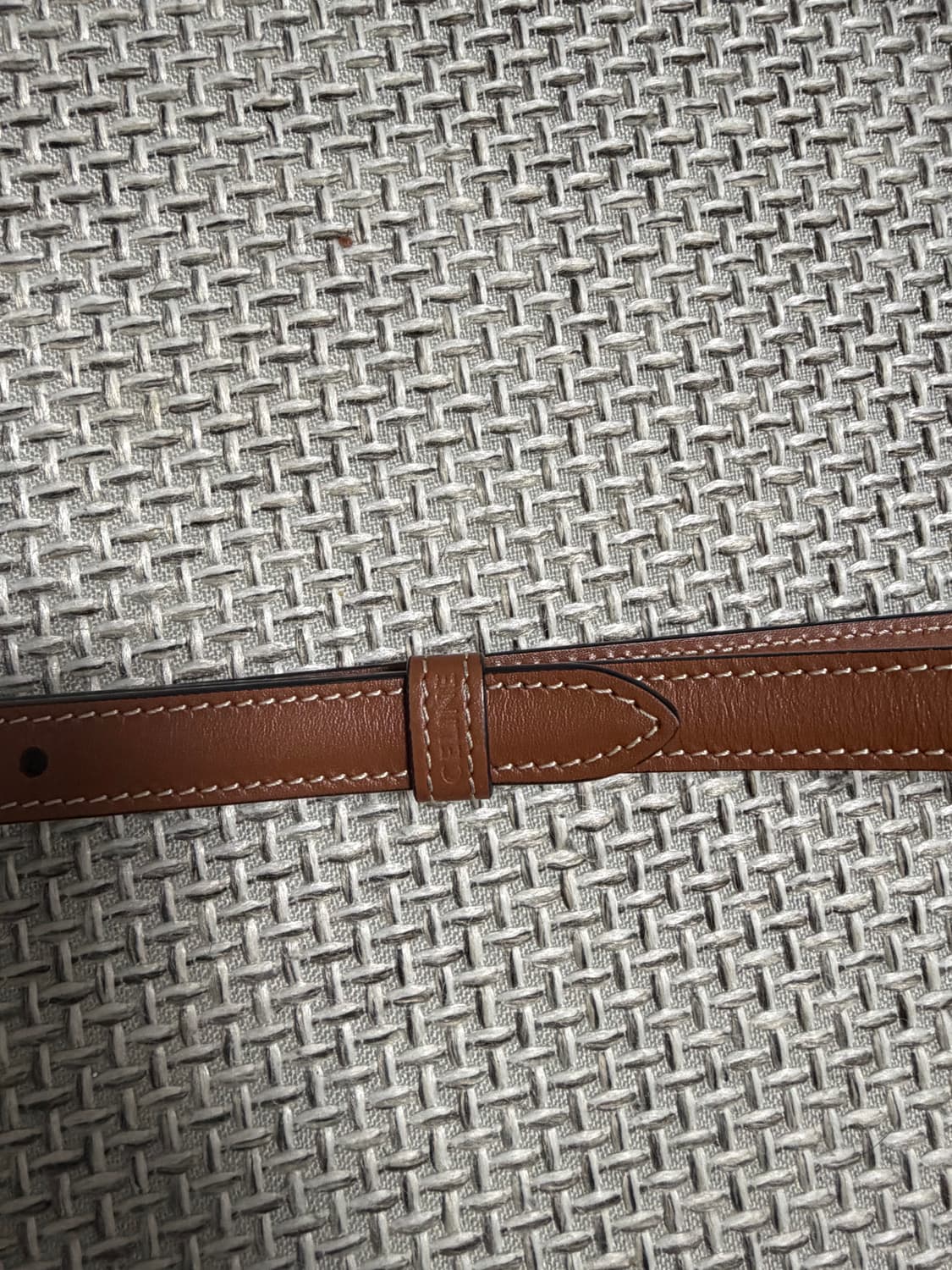 24ss[백화점판/새상품급]셀린느 트리옹프 베사체 미니백 상품이미지8