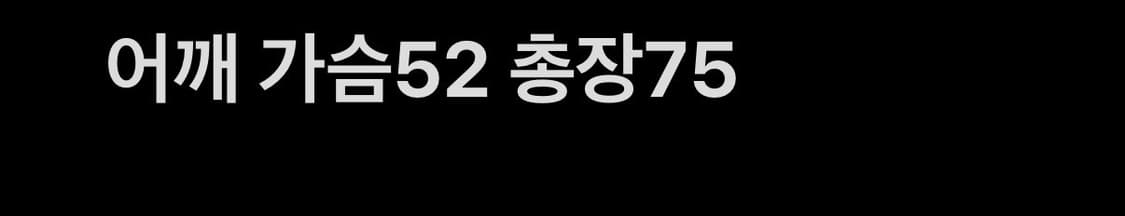 00s 마자플라바 빅로고 올드스쿨 바시티자켓 상품이미지7