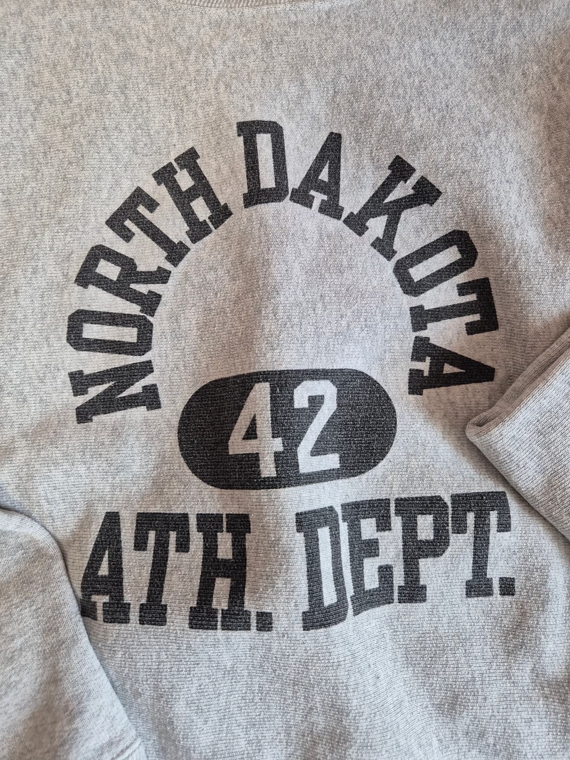 챔피온 블루택 재팬 스웻셔츠 XL 상품이미지3