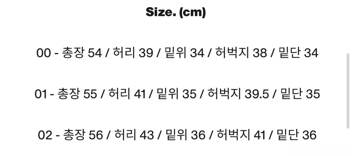 [02]카락터 Fern nylon shorts 상품이미지2